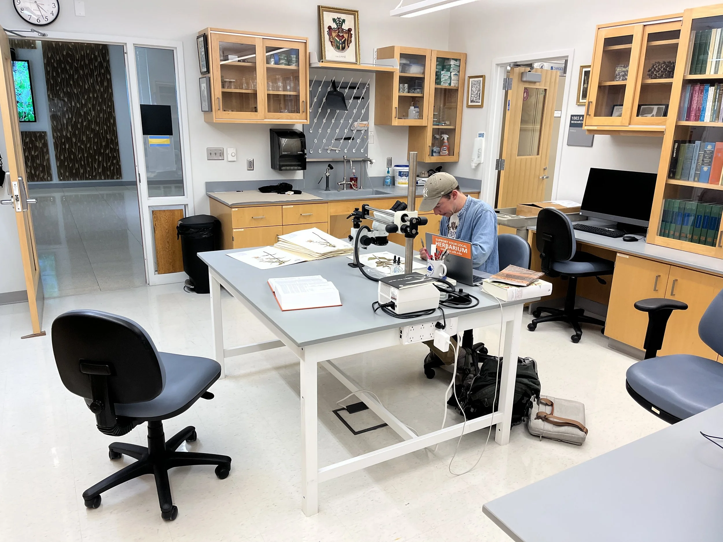 Patrick McKenzie working with cabinets in an herbarium